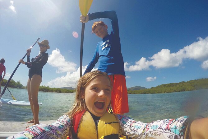Magic Mangrove Paddle in Beef Island Lagoon - Among the young mangroves and marine life