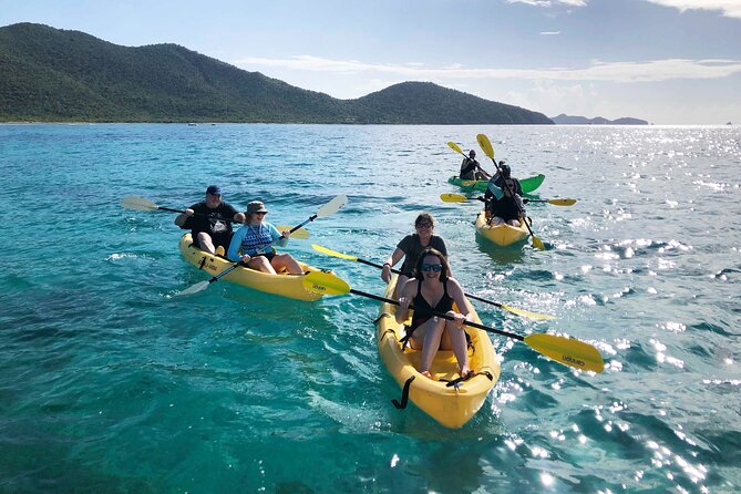 Magic Mangrove Paddle in Beef Island Lagoon - What makes Alex’s guiding so valuable