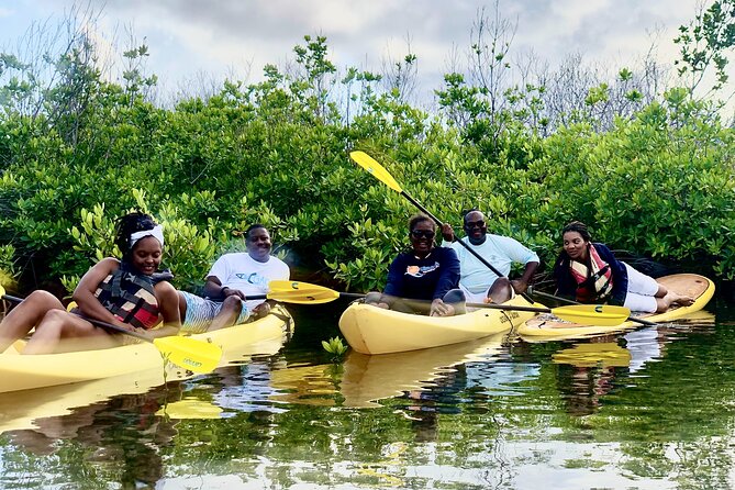 Magic Mangrove Paddle in Beef Island Lagoon - Timing, transport, and cruise-day planning