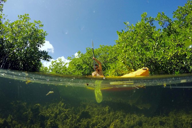 Magic Mangrove Paddle in Beef Island Lagoon - Meeting in Road Town and getting ready