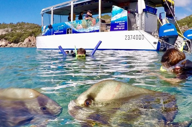 Magnetic Island Discovery Tour with Snorkeling & Paddle Boarding - A five-hour view of Magnetic Island from the sea