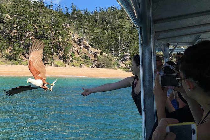 Magnetic Island Discovery Tour with Snorkeling & Paddle Boarding - Weather, cancellations, and practical planning