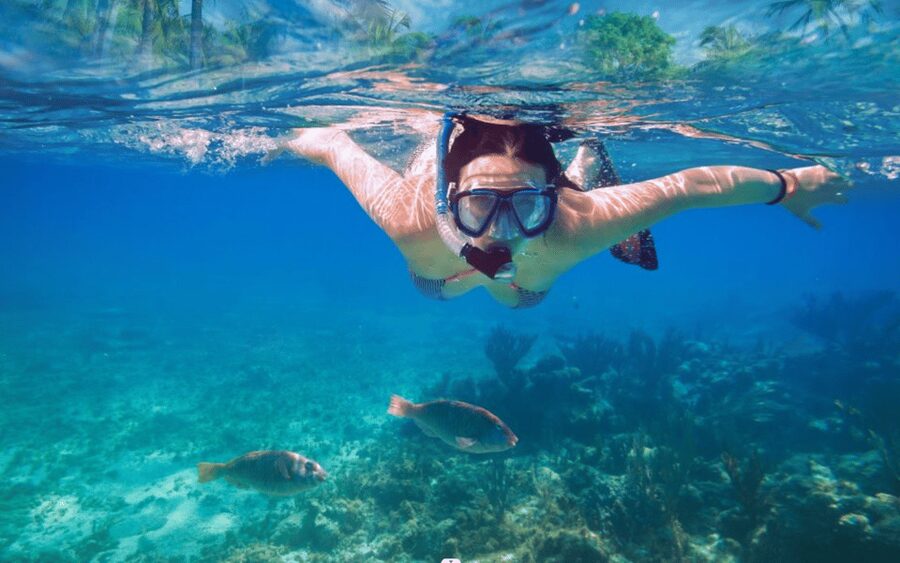 Makarska: Sea kayaking & snorkeling adventure - MPL Nautika - Practical choice: morning or evening