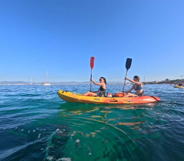 Mallorca: Kayak Rental - Key points to know before paddling out
