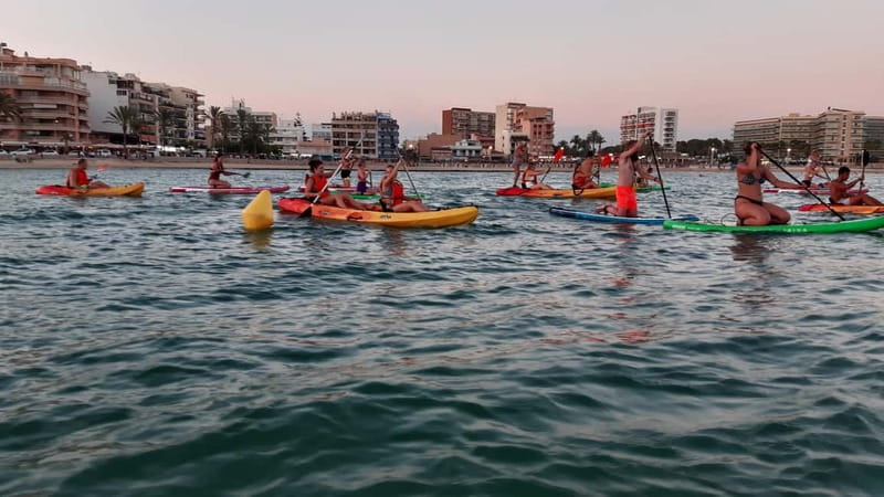Mallorca: Kayak Rental - Swimming, snorkeling, and the view back to Palma