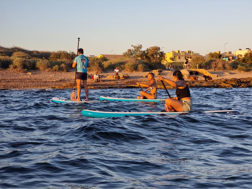 Mallorca: Kayak Sunset Tour from Ca'n Pastilla Beach - Who will enjoy this most