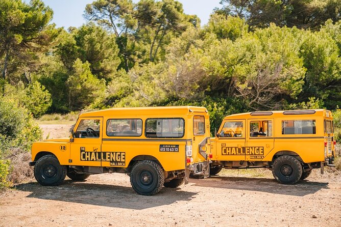 Mallorca: Kayaking, Sea Cave, Cliff Jumping & Snorkel Tour - Why this works as a half-day Mallorca adventure