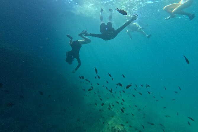 Mallorca: Kayaking, Sea Cave, Cliff Jumping & Snorkel Tour - Snorkeling for marine life and the sunken treasure