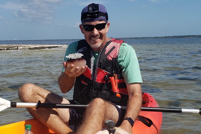 Manatee and Dolphin Kayaking | Wildlife Refuge (Titusville) - How much value do you get for $60?