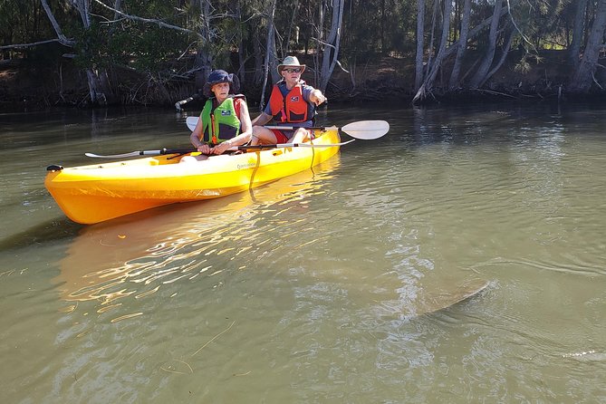Manatee and Dolphin Kayaking | Wildlife Refuge (Titusville) - What happens during the 90-minute outing