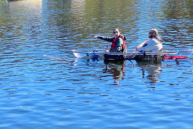 Manatee Season Clear Kayak Tour of Tarpon Springs - Craig Park and Tarpon Springs’ old homes