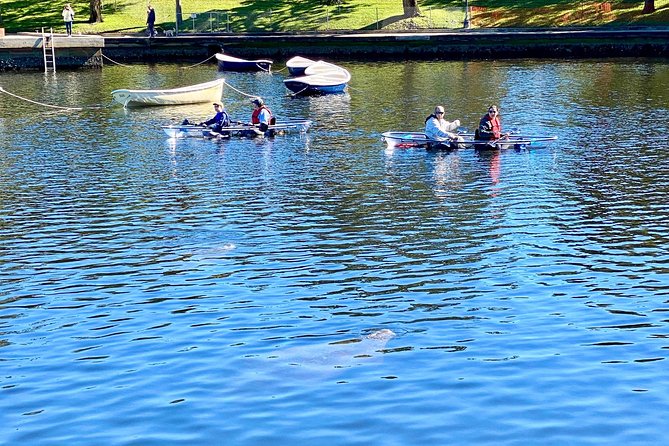 Manatee Season Clear Kayak Tour of Tarpon Springs - Guides who add more than directions