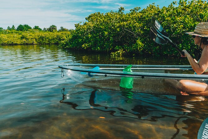 Manatee Season Clear Kayak Tour of Tarpon Springs - Anclote River and the mangrove island