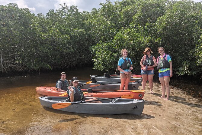Manatees and Mangrove Tunnels Small Group Kayak Tour - Who should book this kayak tour