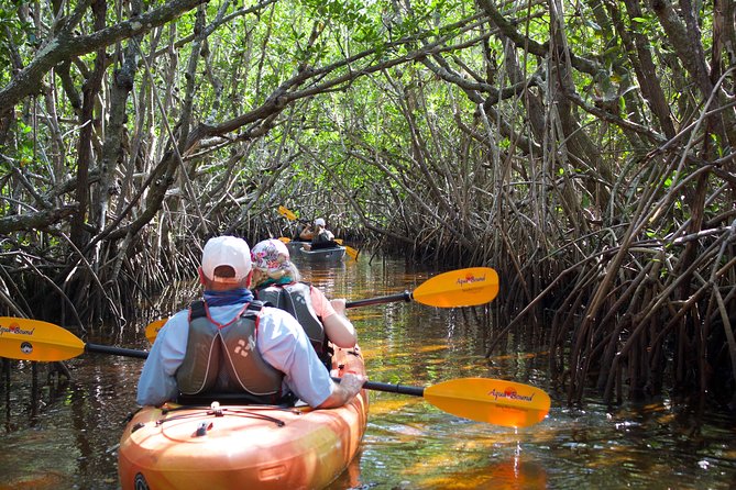Manatees and Mangrove Tunnels Small Group Kayak Tour - The 30-minute canal search for manatees