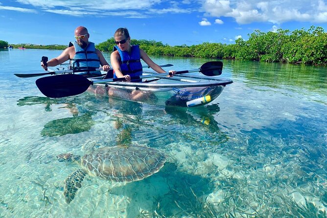 Mangrove Clear Kayak Tour - Why Mangrove Cay is worth your morning