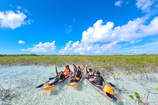 Mangrove Clear Kayak Tour - What to bring for comfort and photos