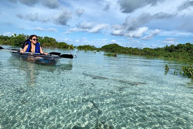 Mangrove Clear Kayak Tour - The 1-hour-15-minute Mangrove Cay route