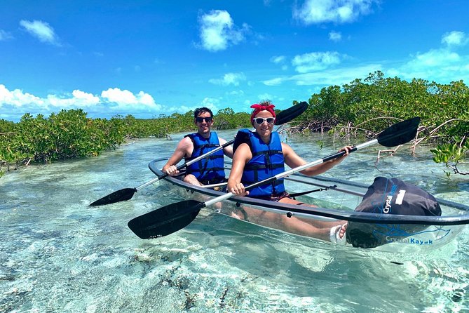 Mangrove & Iguana Clear Kayak Tour - Why the clear kayak matters at Mangrove Cay
