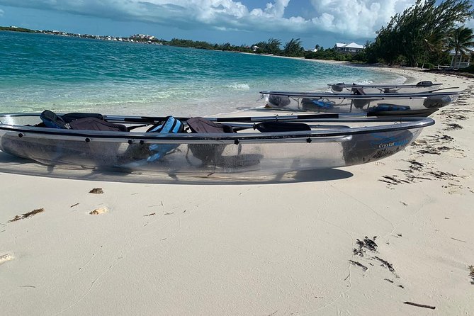 Mangrove & Iguana Clear Kayak Tour - The ride to the cay and the first wildlife stop