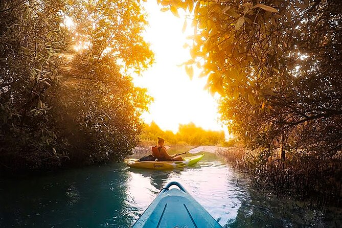 Mangrove Kayaking Abu Dhabi - Paddling into Abu Dhabi’s mangrove canals