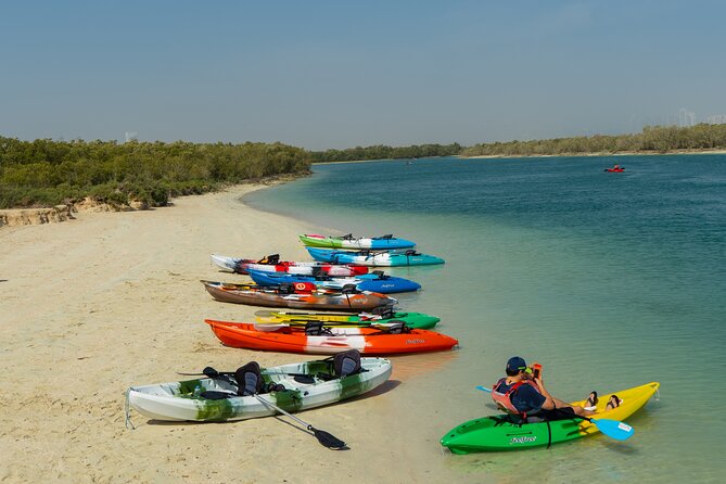 Mangrove Kayaking Abu Dhabi - Reem Island or Eastern Mangroves?