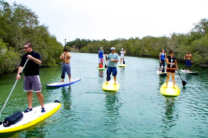 Mangrove Kayaking Abu Dhabi - Why the small group matters