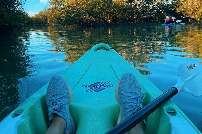 Mangrove Kayaking Abu Dhabi - Hotel pickup makes the timing easier