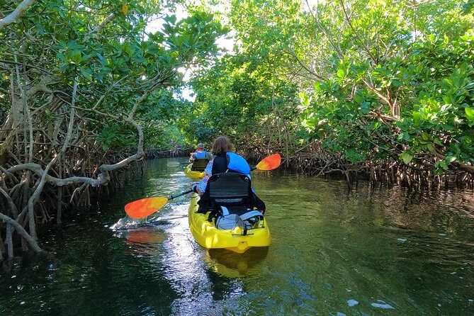 Mangrove Tunnel Kayak Adventure in Key Largo - Starting at Florida Bay Outfitters in Key Largo