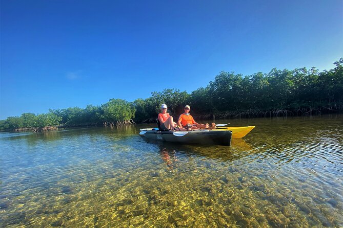 Mangrove Tunnel Kayak Adventure in Key Largo - What guides add to the three-hour route