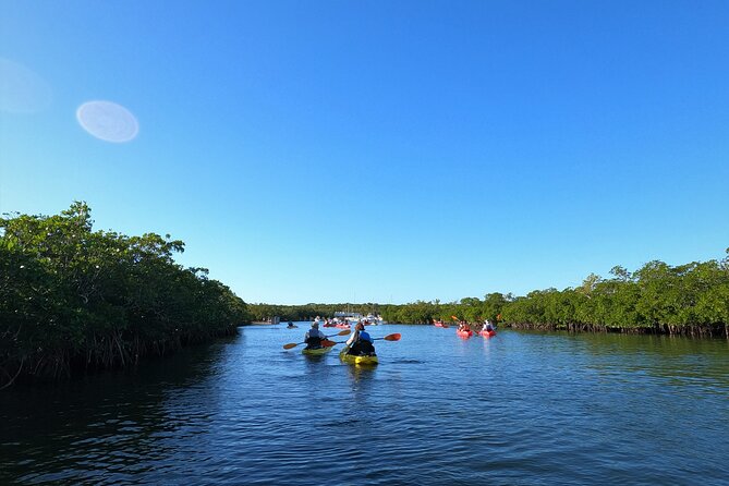 Mangrove Tunnel Kayak Adventure in Key Largo - Optional snorkeling under the mangroves