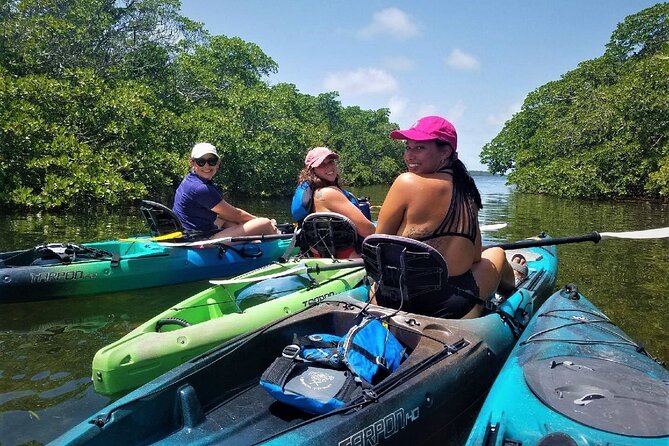 Mangrove Tunnel Kayak Adventure in Key Largo - Tandem kayaks, single kayaks, and beginner comfort