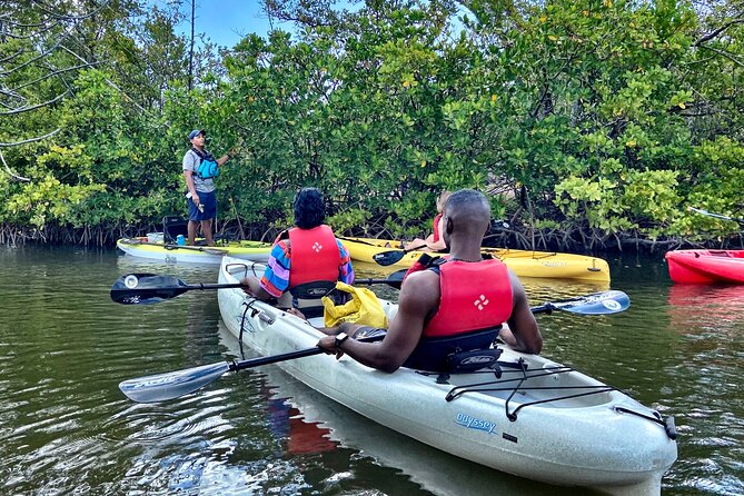 Mangrove Tunnel Kayak Eco Tour - A close look at the route