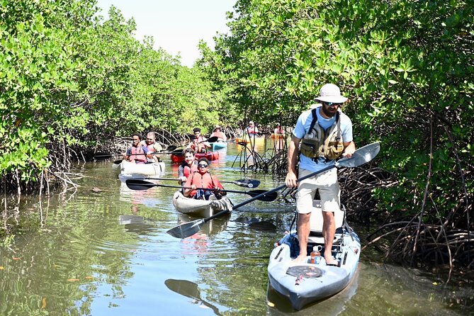 Mangrove Tunnel Kayak Eco Tour - What the $75 price includes