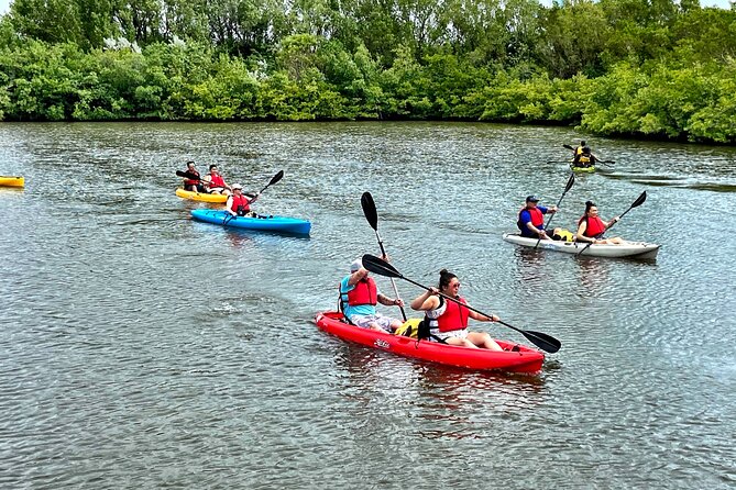 Mangrove Tunnel Kayak Eco Tour - Who will enjoy this paddle most