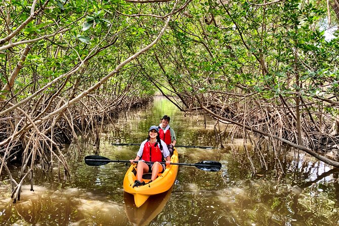 Mangrove Tunnel Kayak Eco Tour - Timing, booking, and weather