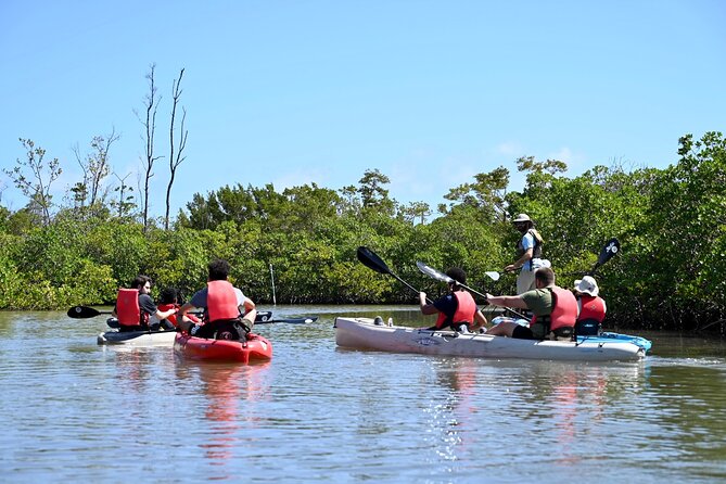Mangrove Tunnel Kayak Eco Tour - Practical preparation for the two hours