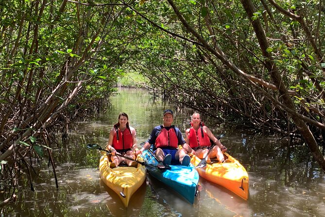 Mangrove Tunnel Kayak Eco Tour - Wildlife watching without false promises