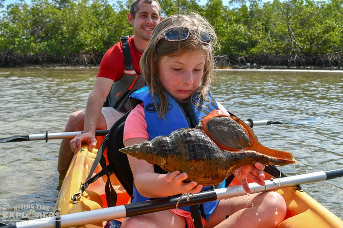Mangrove Tunnels & Mudflats Kayak Tour - Local Biologist Guides - Why Rookery Bay makes a fine morning on the water