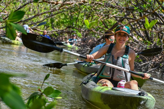 Mangrove Tunnels & Mudflats Kayak Tour - Local Biologist Guides - The mangrove tunnels, mudflats, and oyster reefs