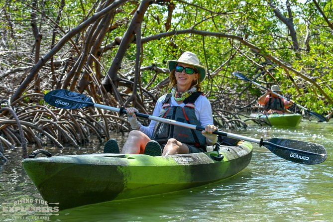 Mangrove Tunnels & Mudflats Kayak Tour - Local Biologist Guides - What the 2.5-hour paddle feels like