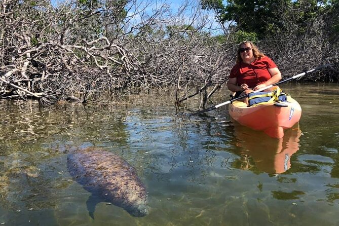 Mangroves and Manatees - Guided Kayak Eco Tour - Finding the Mangrove Tunnels