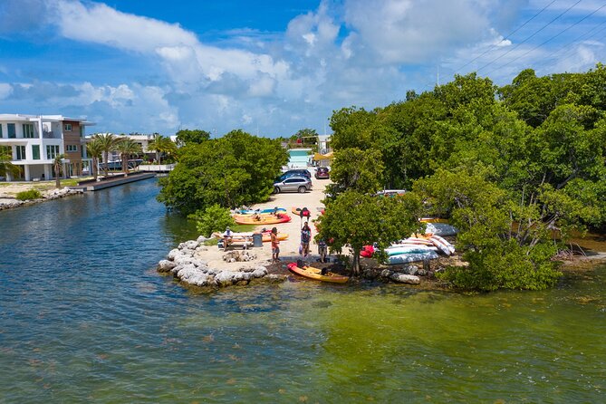 Mangroves and Manatees - Guided Kayak Eco Tour - Manatees and Wildlife: Keep Your Eyes Moving