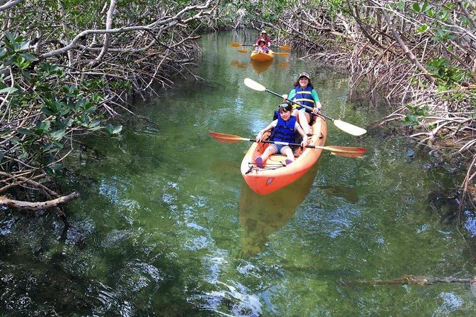 Mangroves and Manatees - Guided Kayak Eco Tour - What the $69 Price Really Buys