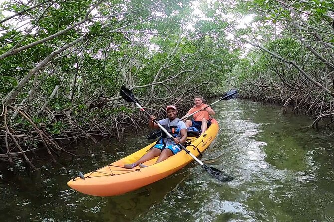 Mangroves and Manatees - Guided Kayak Eco Tour - Who Will Enjoy This Most