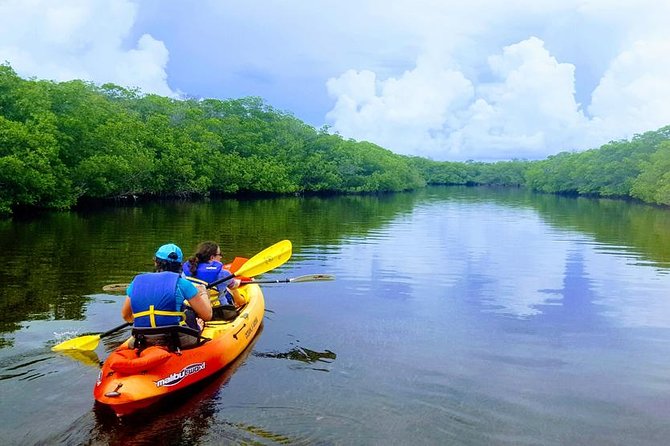 Mangroves and Manatees - Guided Kayak Eco Tour - From the Shop to the Water