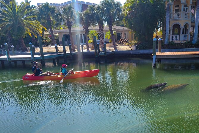 Mangroves, Manatees, and a Hidden Beach: Kayak Tour - Midnight Pass and the beach or sandbar stop