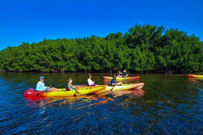 Mangroves, Manatees, and a Hidden Beach: Kayak Tour - Timing, weather, and practical details