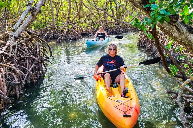 Mangroves, Manatees, and a Hidden Beach: Kayak Tour - Searching for dolphins and manatees