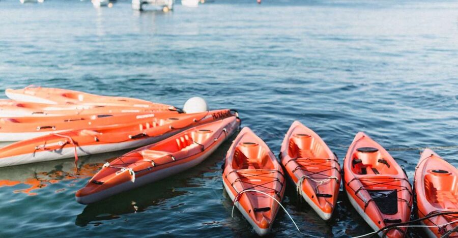 Manly: Mini Kayak Tour on Sydney's North Harbour - The first 30 minutes through North Harbour